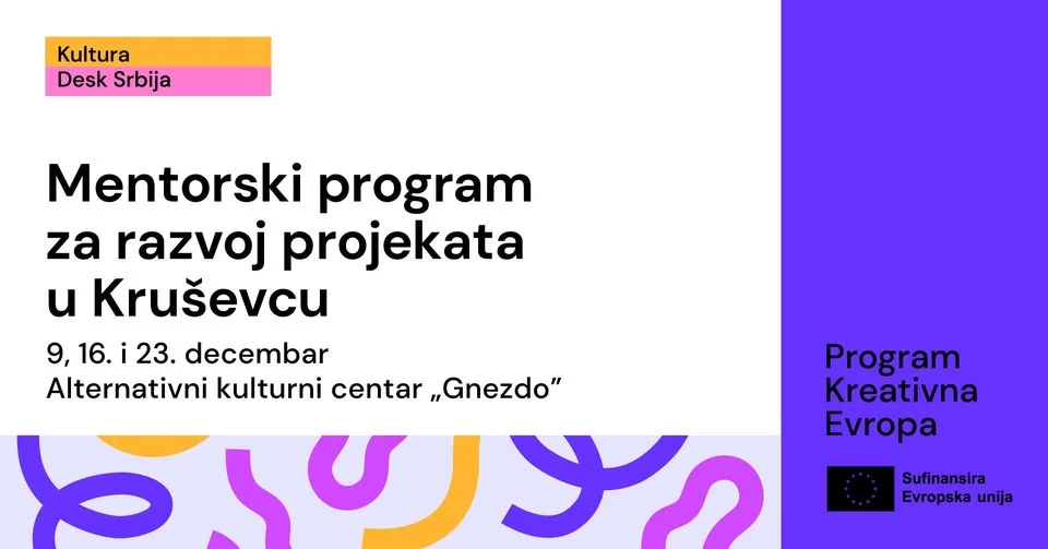 Mentorship program for project development