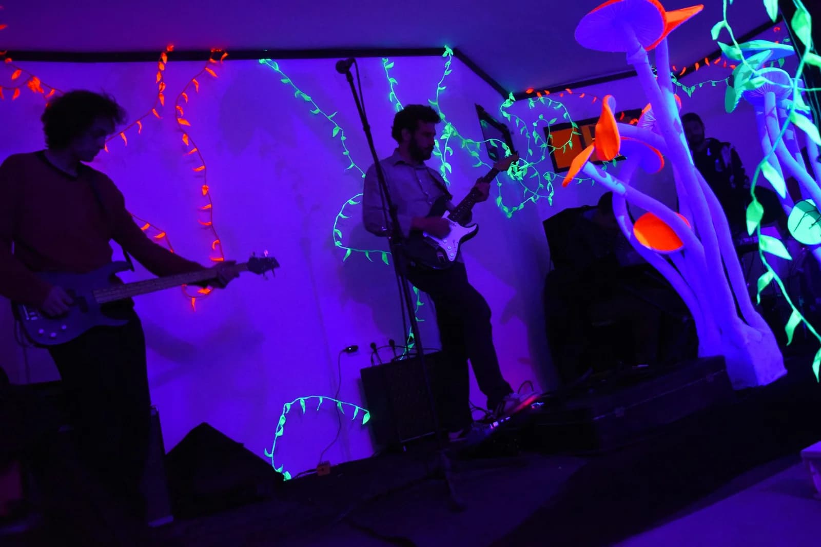 Sounds from the Canopy Vol. 3 / Open Jam Session