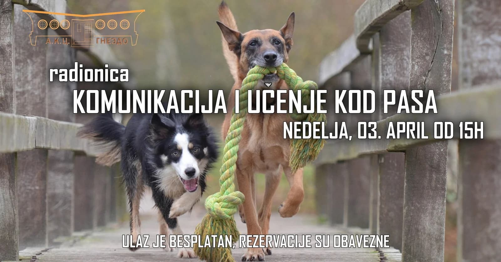 Communication and Learning in Dogs