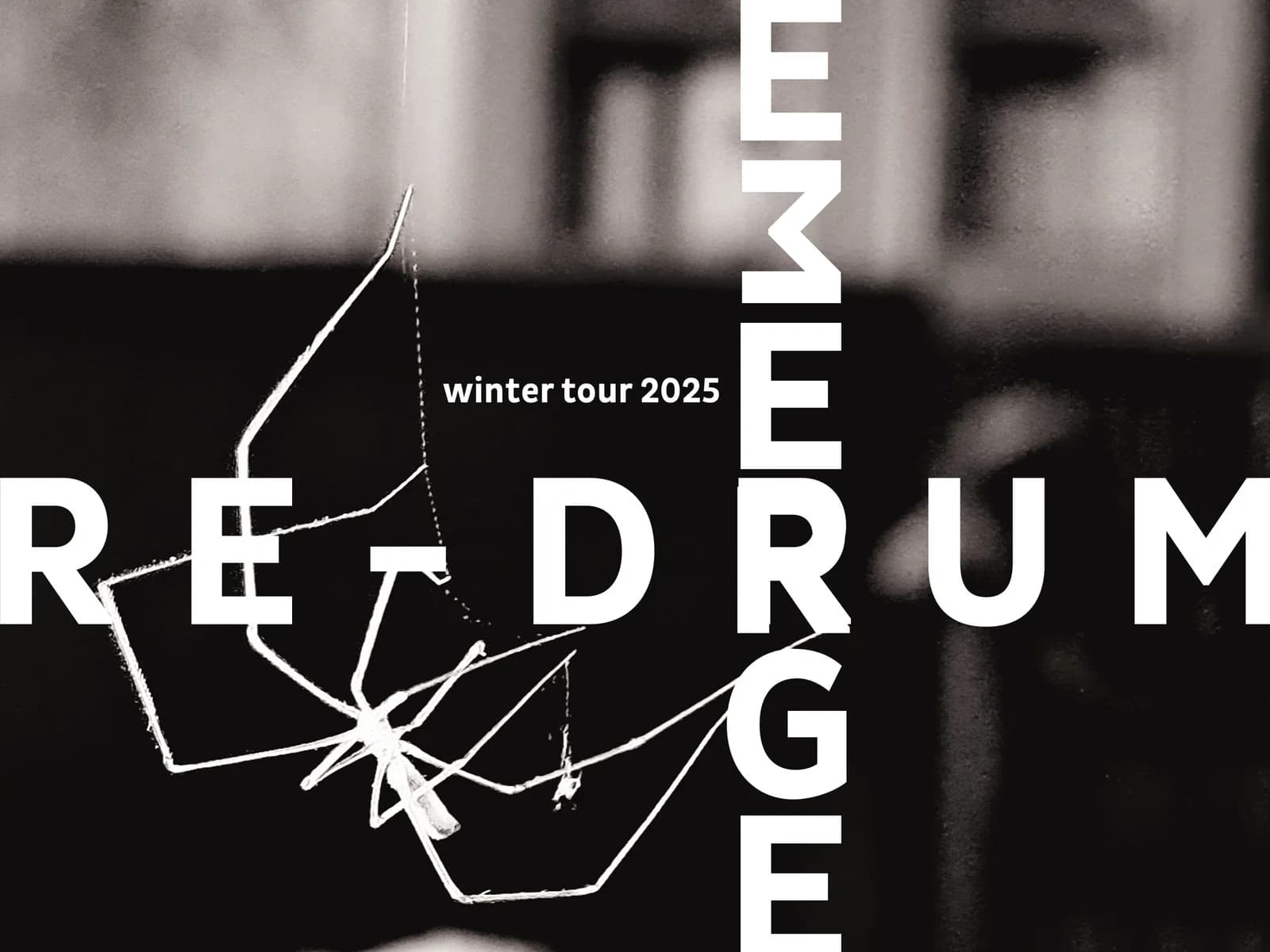 Re-Drum & Emerge (Nemačka)