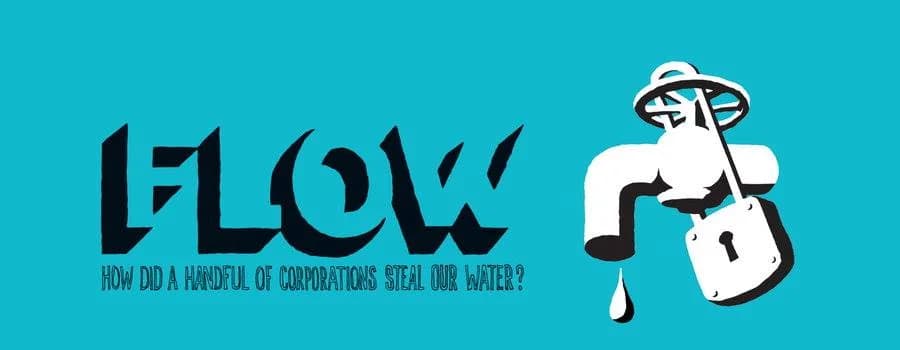 Flow: For Love of Water