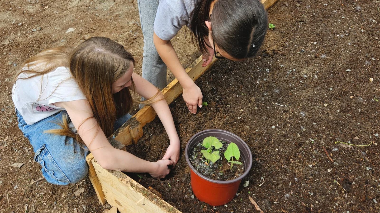 Gardening workshop for children