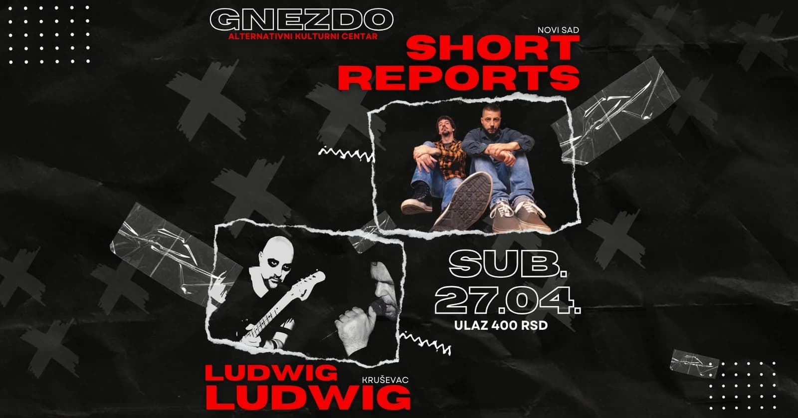 Short reports & Ludwig Ludwig